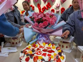 半岛平台在线登录举办三八妇女节活动