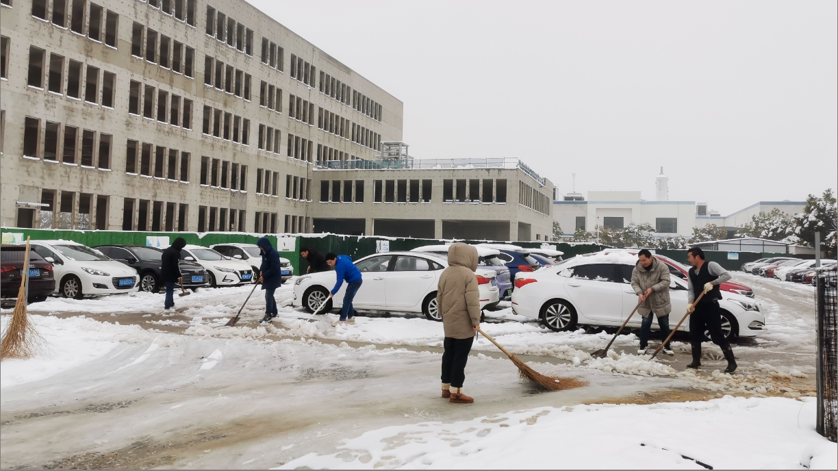 雪绽琼花日 扫雪暖心时丨半岛平台在线登录开展扫雪除冰活动